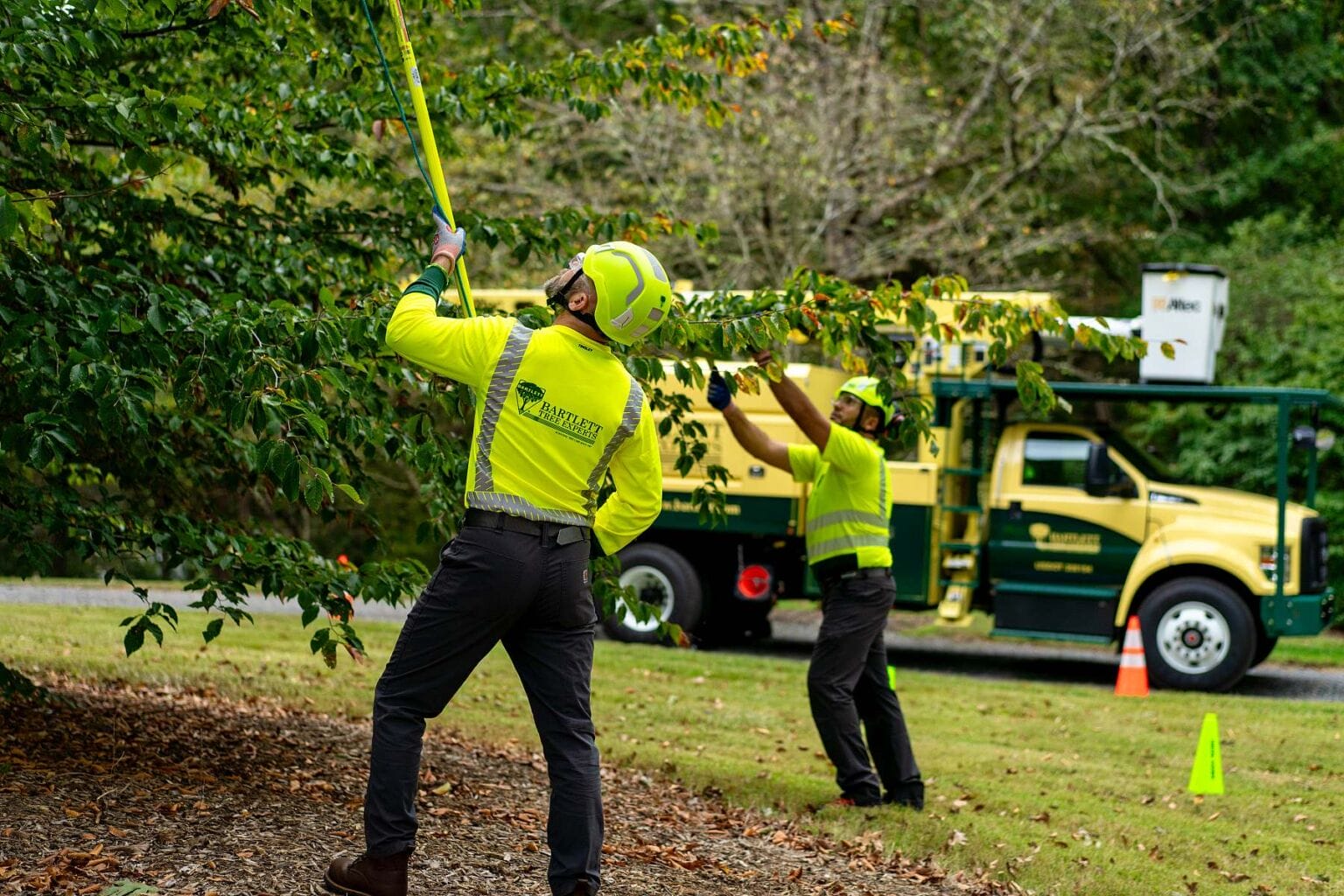 Beside the Point: Bartlett Tree Experts - Cumberland Valley Business ...